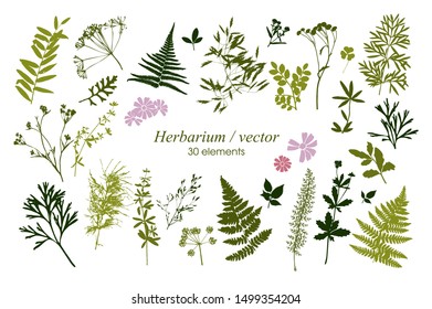 Set of silhouettes of botanical elements. Herbarium set. Branches with leaves, herbs, wild plants, trees. Garden and forest collection of leaves and grass. Vector illustration on white background