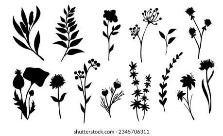 Set of silhouettes of botanical elements,flowers,berries,leaves,herbs.Vector graphics.