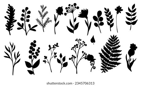 Set of silhouettes of botanical elements,flowers,berries,leaves,herbs.Vector graphics.