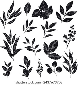Set of silhouettes of branches with leaves, berries isolated on a white background. Vector illustration
