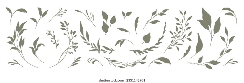 Set of silhouettes of branches and leaves. Hand drawn vector botanical elements