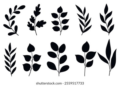 Set of silhouettes Branches and Leaves. Wild plants leaves black silhouettes isolated on white background