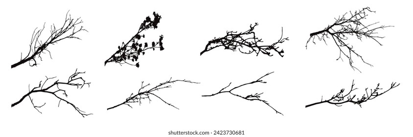 Satz von Silhouetten von Ästen auf weißem Hintergrund. Symbol der Natur und der Pflanzen.