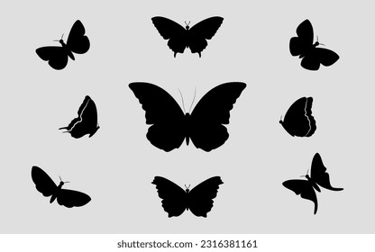 A set of silhouettes of butterflies. Black silhouettes. Vector on gray background