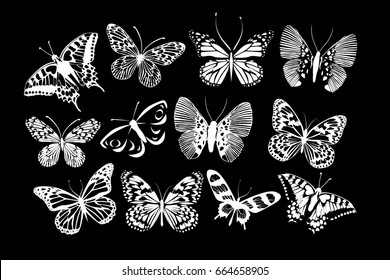 Set Silhouettes of butterflies. Vector