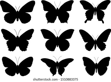 Set of silhouettes of butterflies, vector illustration