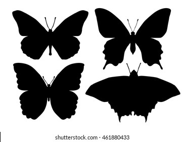 A set of silhouettes of butterflies.Vector illustration.