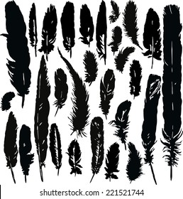 set of silhouettes by plumes, hand drawn feathers,vector illustration