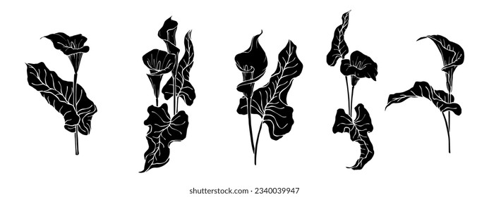 Satz von Silhouetten von Calla Blumen und Blättern. Vektorgrafiken.