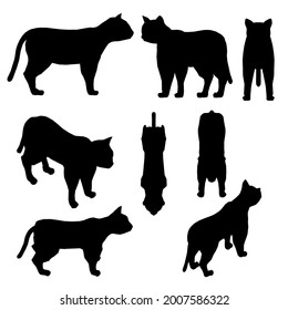 Se coloca con siluetas de un gato en diferentes posiciones aisladas en un fondo blanco. Ilustración del vector