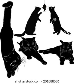 set of silhouettes of cats isolated on white background