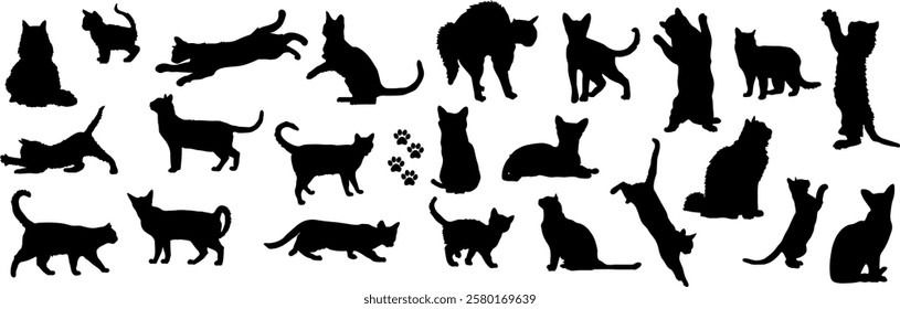 Set of silhouettes of cats and kittens in different playful poses. Domestic cats and kittens. Advertising of food, veterinary clinics, animal stencils. Pet Shadows