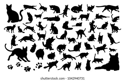 Set of silhouettes of the cats and the paw prints vector illustrations - Isolated on white background