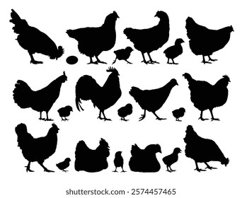 Set silhouettes of chickens and roosters.