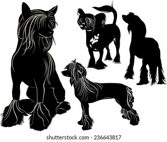 set of silhouettes of Chinese crested dog