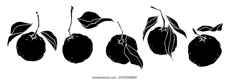 Set of silhouettes of citrus fruit tangerine. Vector graphics.