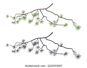 A set of silhouettes and a color image of pine branches for creating a design for backgrounds, festive wrappers, textiles