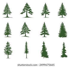 Set of silhouettes of coniferous trees. Various Christmas trees, cedar, pine and other needles