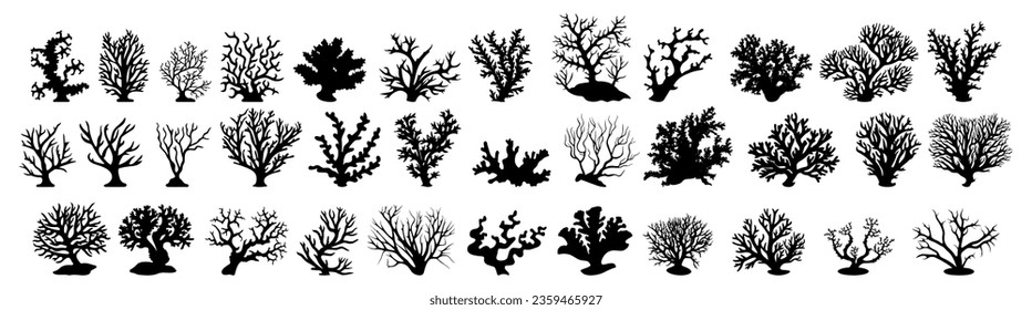 set of silhouettes of coral reef. sea anemones. underwater creatures. isolated on a background. eps 10