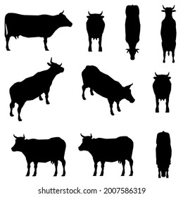 Set with silhouettes of a cow in different positions isolated on a white background. Vector illustration