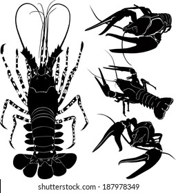 set of silhouettes of crayfish isolated on white background