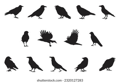 Set of silhouettes of crow birds vector illustration