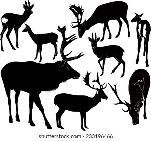 set of silhouettes of deer isolated on white background