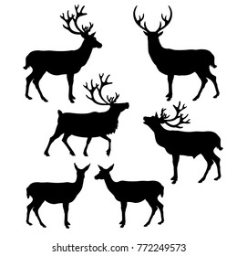 Set of silhouettes deer. Vector illustration isolated on white background.