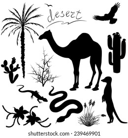 Set of silhouettes of desert  plants and animals.