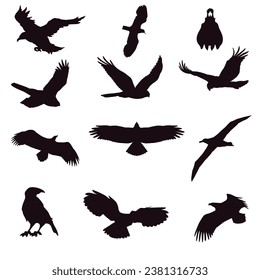 Set of silhouettes of different birds