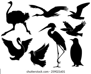 set of silhouettes of different birds