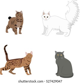 set of silhouettes of different breeds of cats