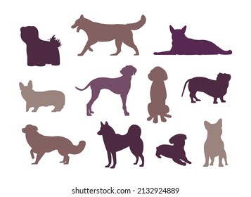 A set of silhouettes of different dog breeds in poses. Corgi, Jack Russell Terrier, Dalmatian, dachshund, pug and husky vector set. Jack russell terrier, golden retriever, cocker spaniel