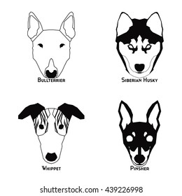 Set of silhouettes of different dog breeds on a white background