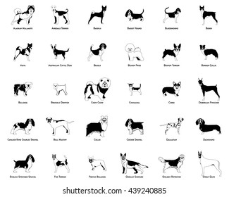 Set of silhouettes of different dog breeds on a white background