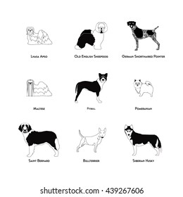Set of silhouettes of different dog breeds on a white background
