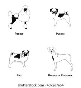 Set of silhouettes of different dog breeds on a white background