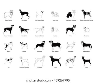 Set of silhouettes of different dog breeds on a white background