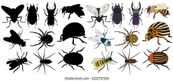 set of silhouettes of different insects