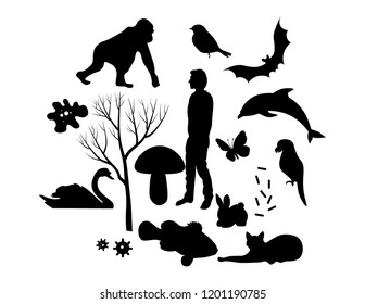 Set of silhouettes of different life forms - products of evolution. Wild life vector design