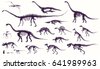 velociraptor fossil
