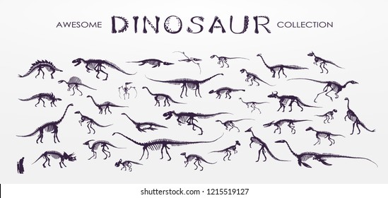 Set, silhouettes, dino skeletons, dinosaurs, fossils. Hand drawn vector illustration. Comparison of sizes, realistic Sketch collection: diplodocus, triceratops, tyrannosaurus, doodle pattern...