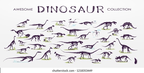 Set, silhouettes, dino skeletons, dinosaurs, fossils. Hand drawn vector illustration. Comparison of sizes, realistic Sketch collection: diplodocus, triceratops, tyrannosaurus, doodle pattern...