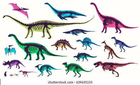 Set, silhouettes, dino skeletons, dinosaurs, fossils. Hand drawn vector illustration. Comparison of sizes, realistic Sketch collection: diplodocus, triceratops, tyrannosaurus, doodle pattern...