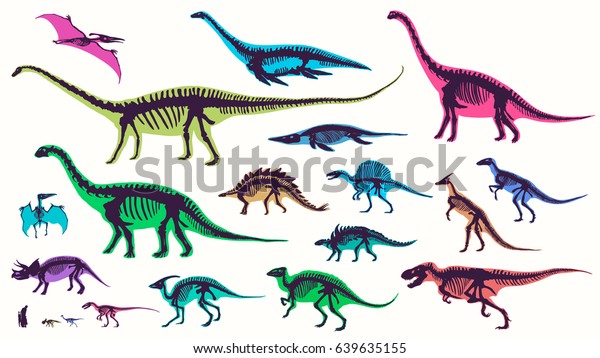 セット シルエット ディノの骨格 恐竜 化石 手描きのベクターイラスト サイズの比較 リアルなスケッチコレクション ディプロドックス トリケラトプス ティラノサウルス 落書きパターン のベクター画像素材 ロイヤリティフリー