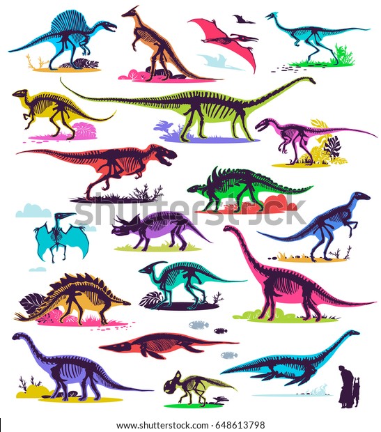 セット シルエット ディノの骨格 恐竜 化石 手描きのベクターイラスト サイズの比較 リアルなスケッチコレクション Diplodocus Triceratops Tilanosurs Doodle型 のベクター画像素材 ロイヤリティフリー