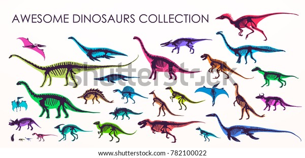シルエット ディノ骨格 恐竜 化石のセット 手描きのベクターイラスト サイズの比較 リアルなスケッチコレクション Diplodocus Triceratops Tilanosurs Doodle型 のベクター画像素材 ロイヤリティ フリー