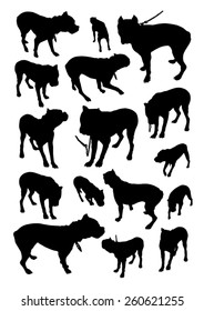 Set of silhouettes of dog breed boxer