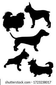 set of silhouettes of dogs of different breeds vector illustration