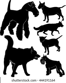 set of silhouettes of dogs isolated on white background